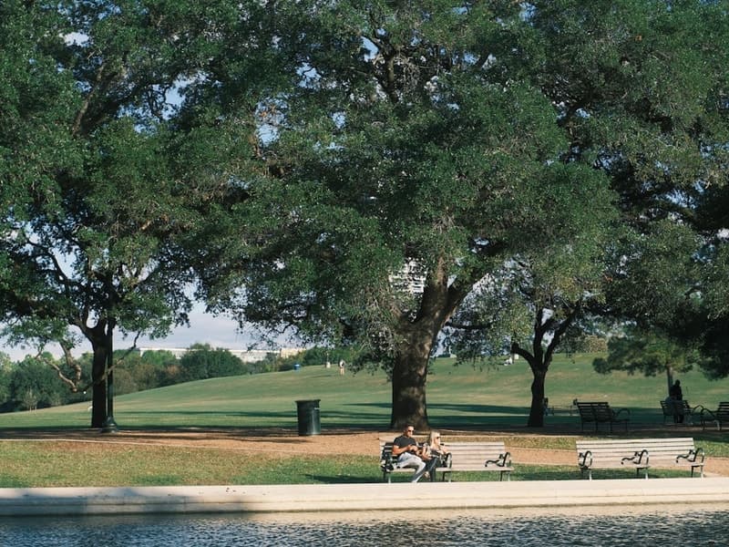 Brushy Creek homes - Single Family, Established Homes, Updated Homes Established neighborhood home with mature trees, well-maintained landscaping in Brushy Creek
