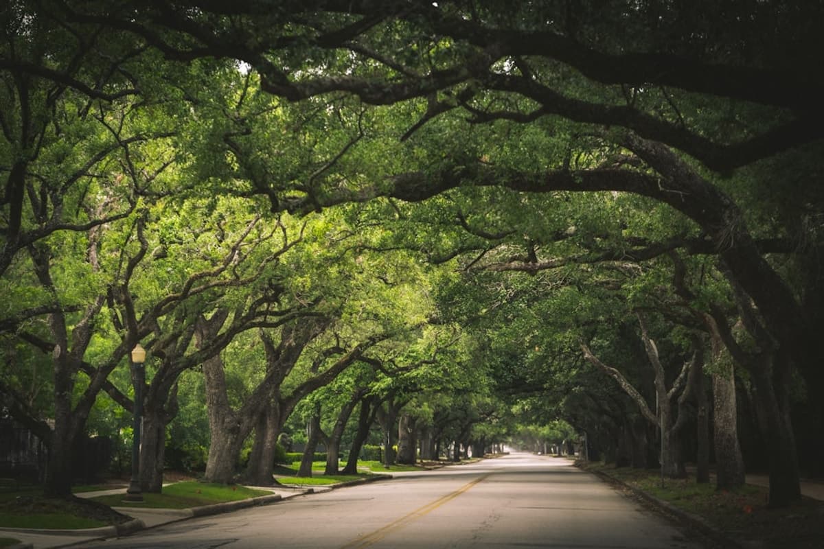 Brushy Creek - Neighborhood streets and residential character Brushy Creek established neighborhood with mature trees