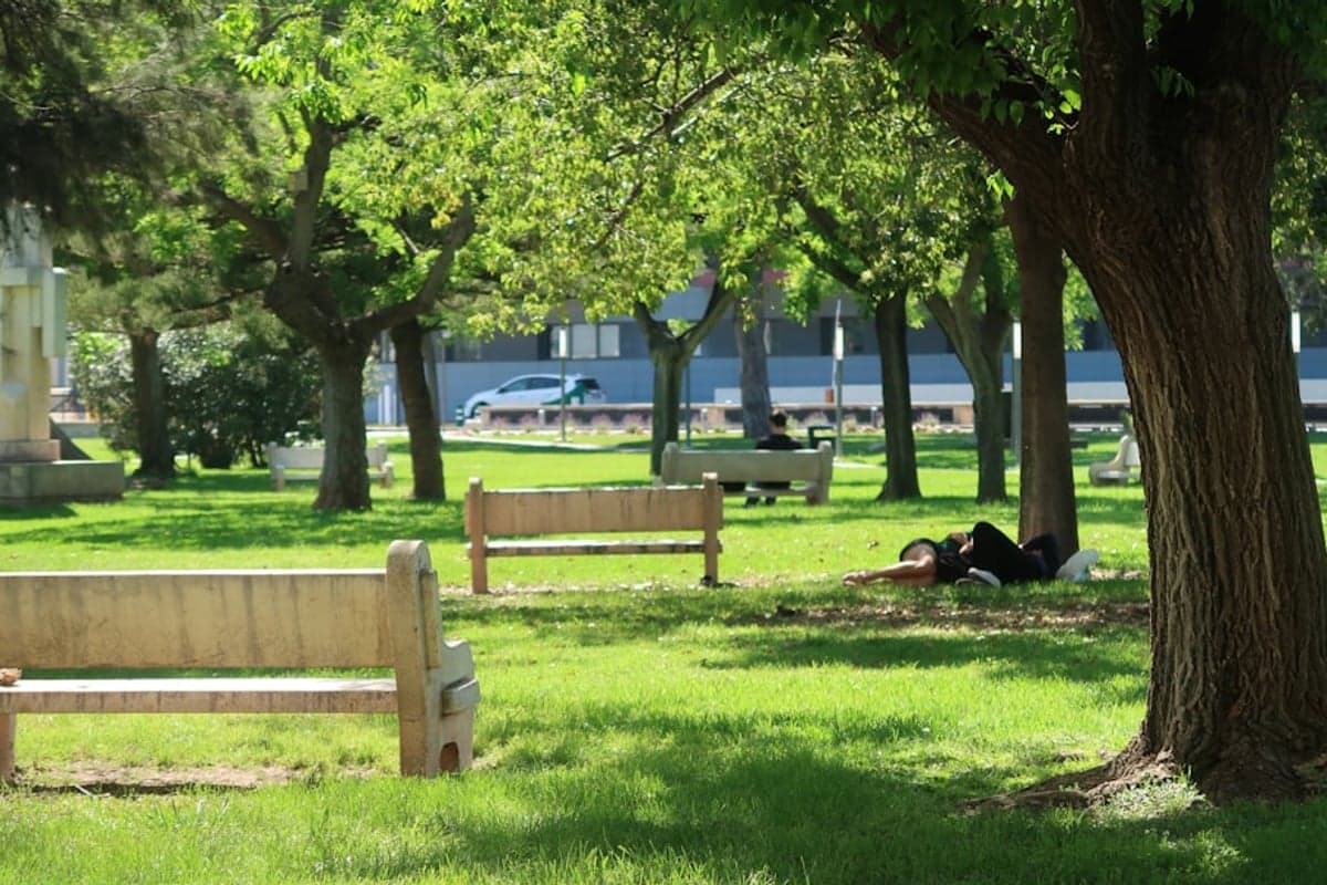 Hutto - Community amenities and recreational facilities Fritz Park or Hutto Lake Park recreation area