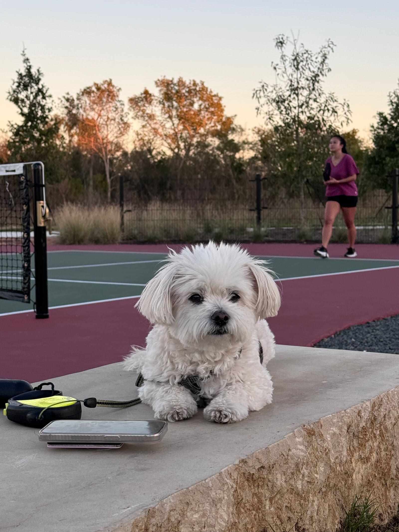 Easton Park Pickleball Court